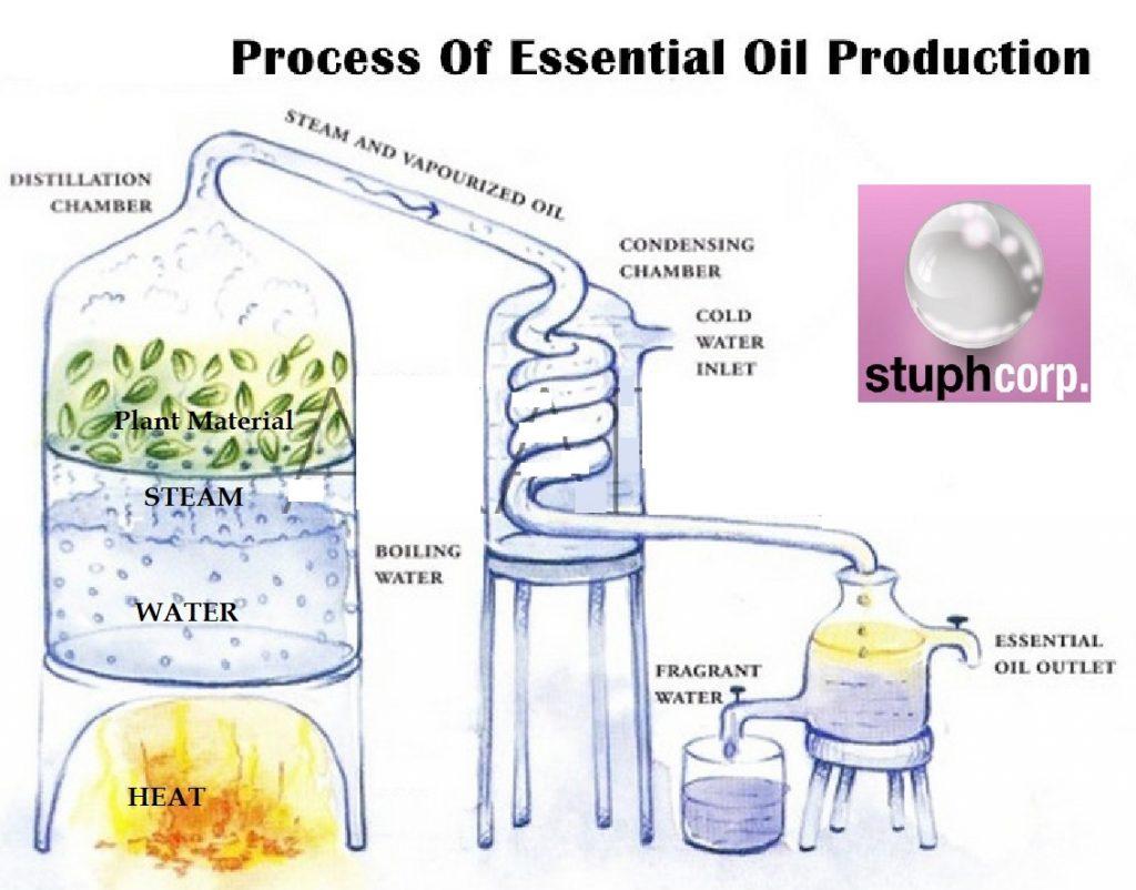 Essential Oil Nanoemulsions with Stuph